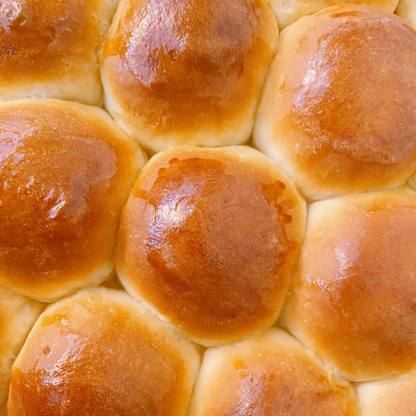 Organic Sourdough Thanksgiving Dinner Rolls - 1 Dozen (PRE-ORDER)